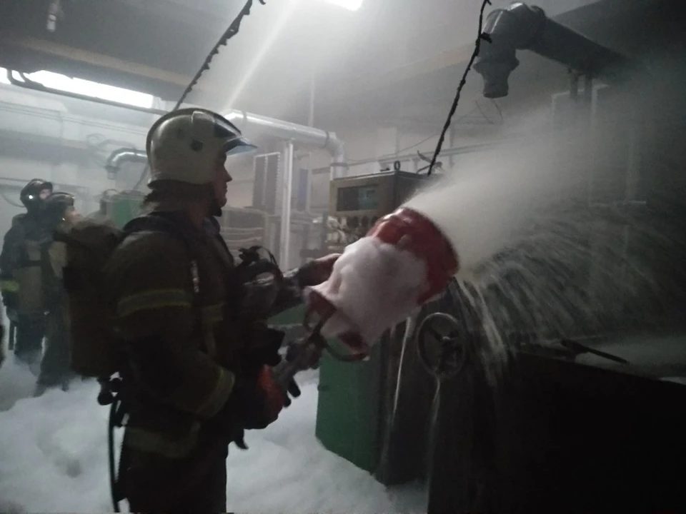 Пожар удалось потушить спустя почти полтора часа Фото: ГУ МЧС по Самарской области