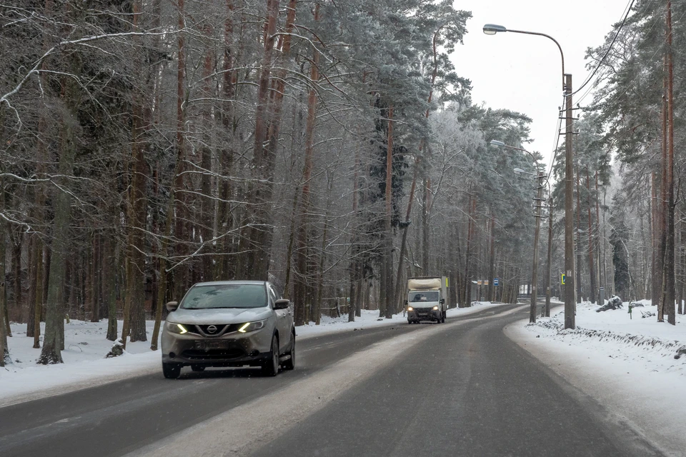 Снегопады ждут в Петербурге и Ленобласти 6 и 7 марта.