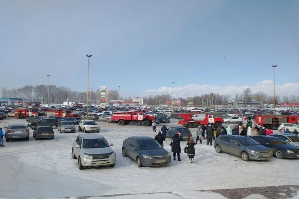 ФОТО: группа "Жесть.Ярославль" "ВКонтакте"
