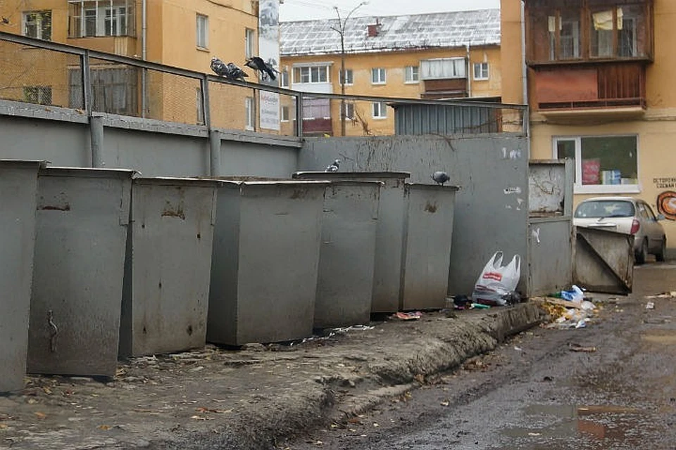 Сибирячку, которая выбросила новорожденного ребенка в мусорный бак, ищут больше года