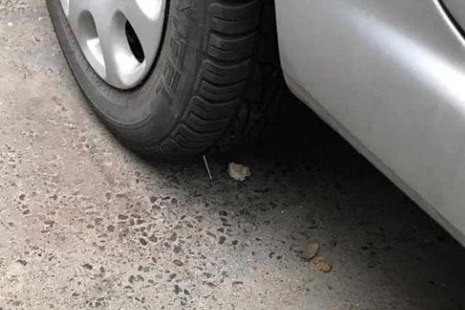 В Гродно под колеса авто кто-то подложил гвозди, а на стекле размазал фекалии. Фото: autogrodno.by