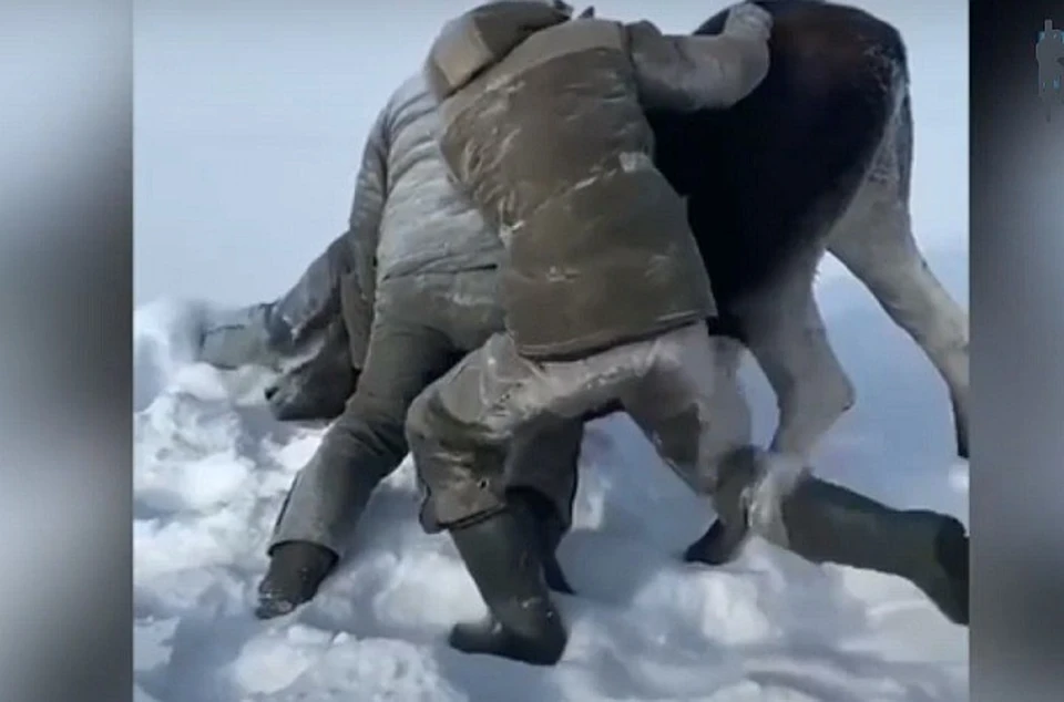 Они задушили ее голыми руками. Кадр из видео с места событий