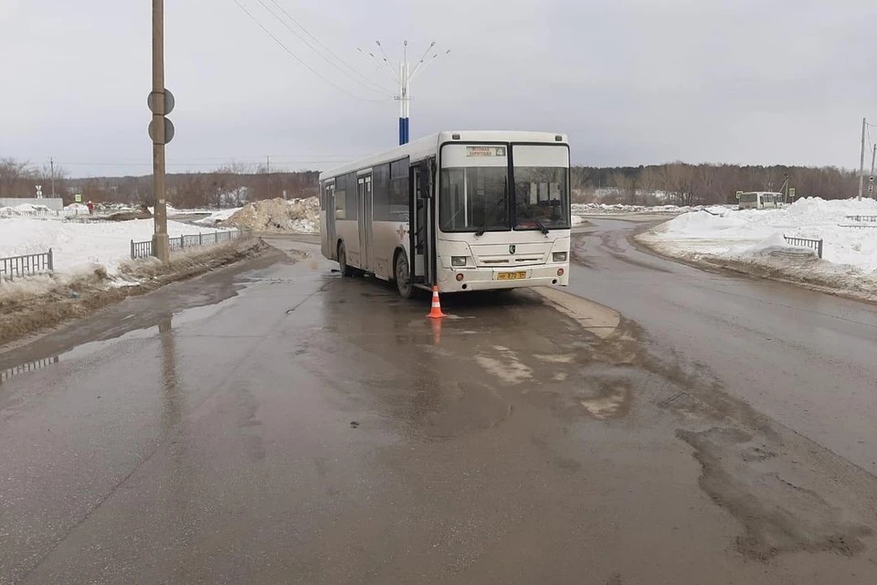 Автобус наехал на сибирячку. Фото: ГИБДД по Новосибирской области