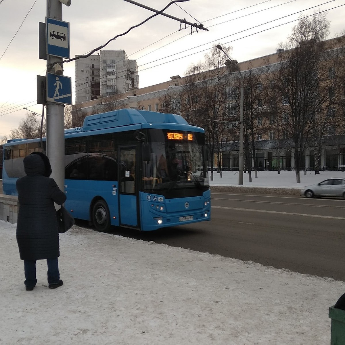 Питерские автобусы в Новокузнецке фото