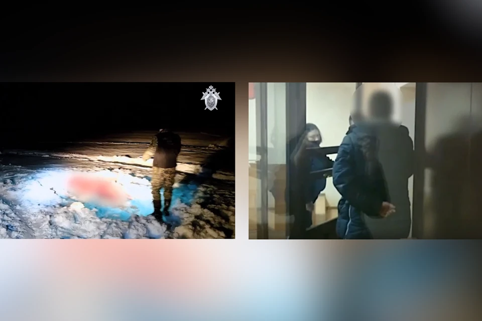 В Твери обвиняемые в убийстве лосихи хотят выйти из-под ареста. Фото: СУ СК по Тверской области.