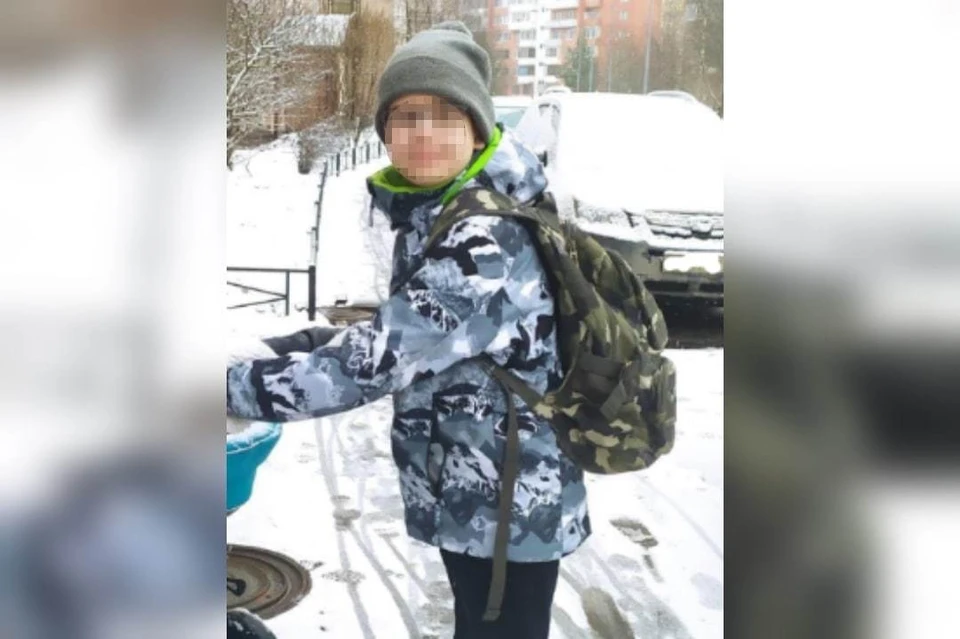 В Петербурге завершились поиски без вести пропавшего 11-летнего мальчика / Фото: Лиза Алерт