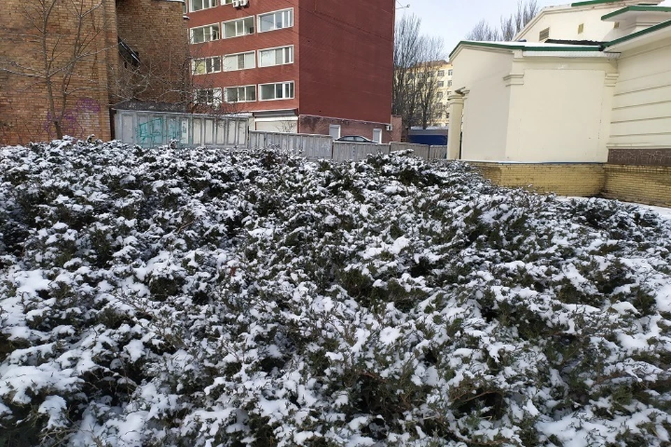 Утро 14 марта в Донецке - таким пушистым снегом прощается зима