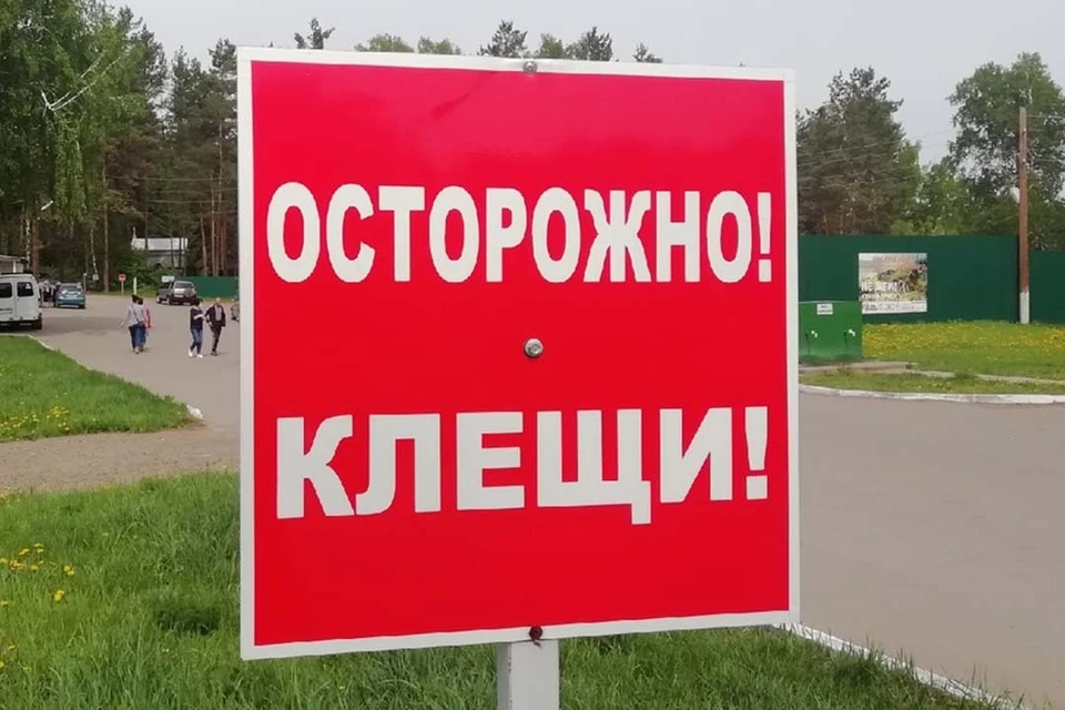 Первый случай присасывания клеща зафиксирован в Республике Алтай