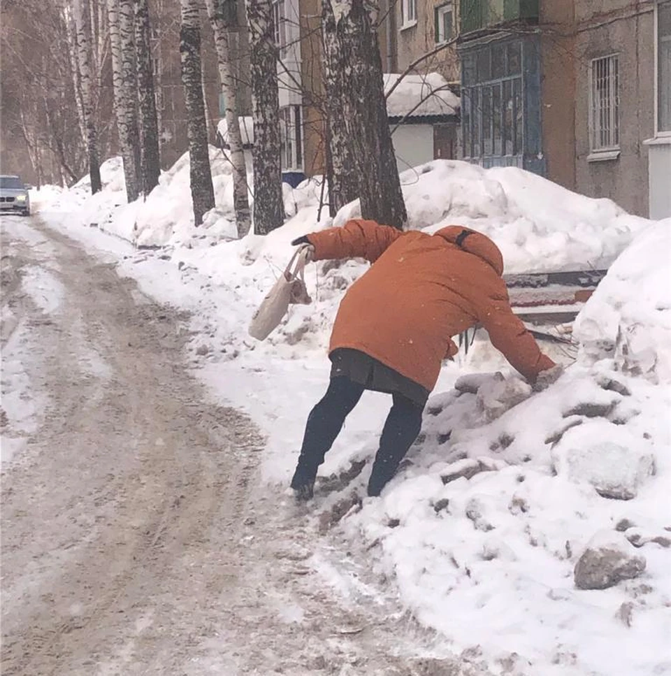 Вопиющий случай»: что творится в томских дворах и переулках - KP.RU