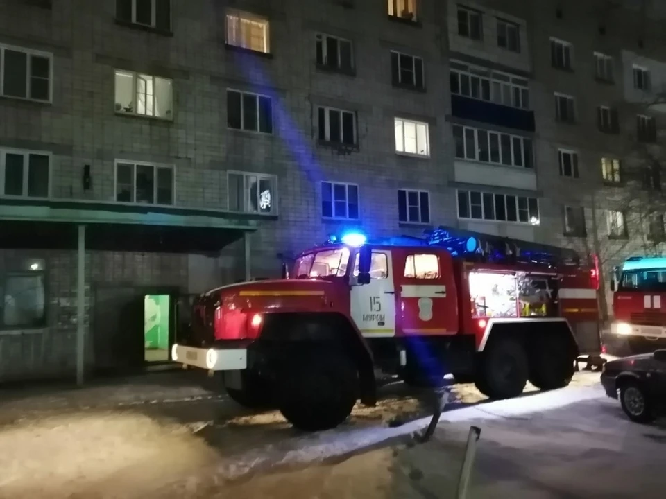 Фото: ГУ МЧС России по Владимирской области