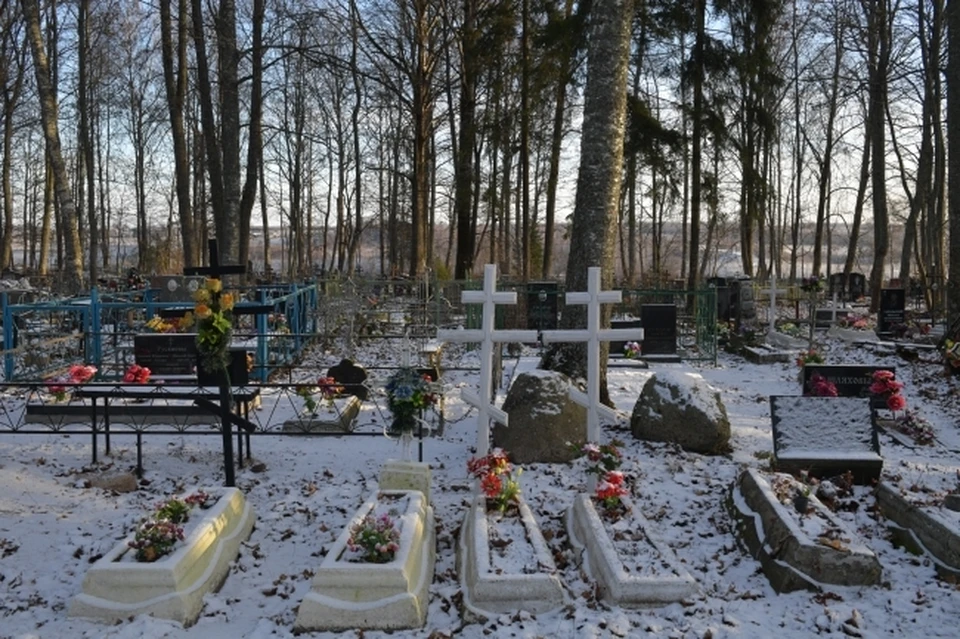 За месяц умерло вдвое больше омичей, чем родилось.
