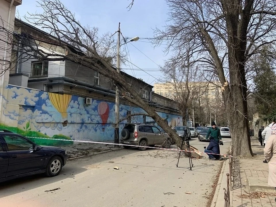 Порывистый ветер грозит возникновением ЧС.