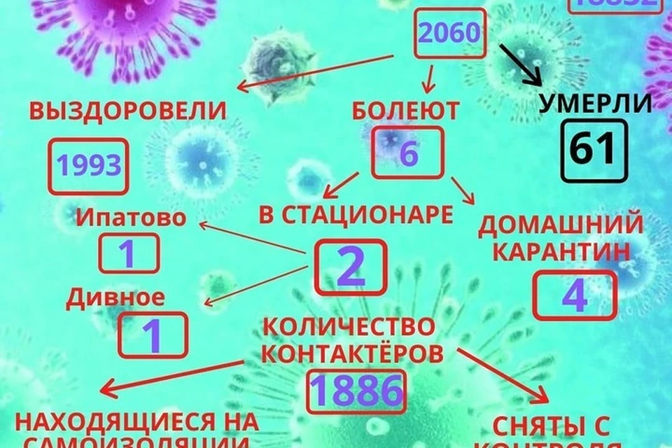 Эпидемиологическая ситуация в Ипатовском округе Ставрополья