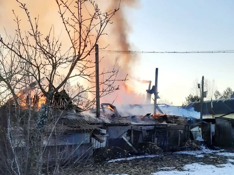 В Смоленской области мужчина спас соседку из пожара. Фото: пресс-служба МЧС по Смоленской области.