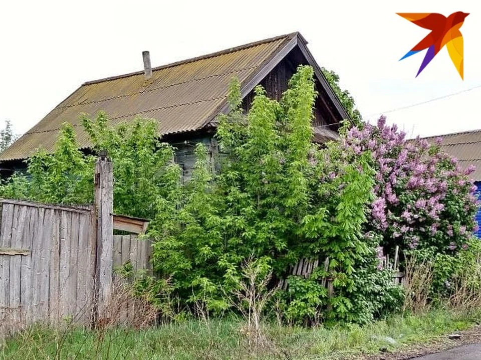 В Поливановке предложено высаживать сирень