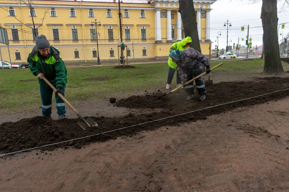 С приходом климатической весны Петербург начинают приводить в порядок.