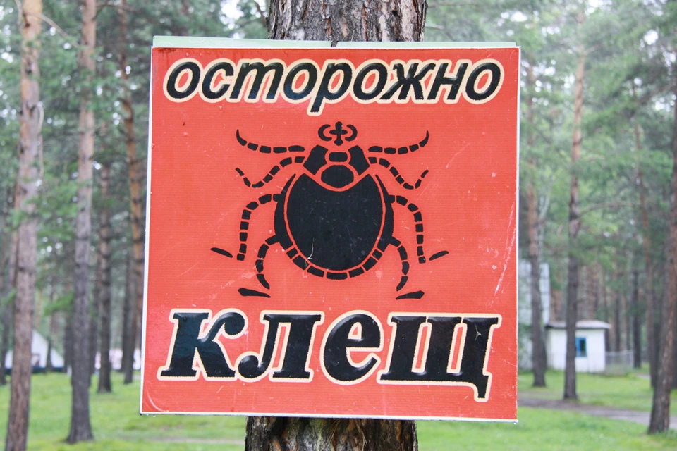 Сезон активности клещей уже открыт