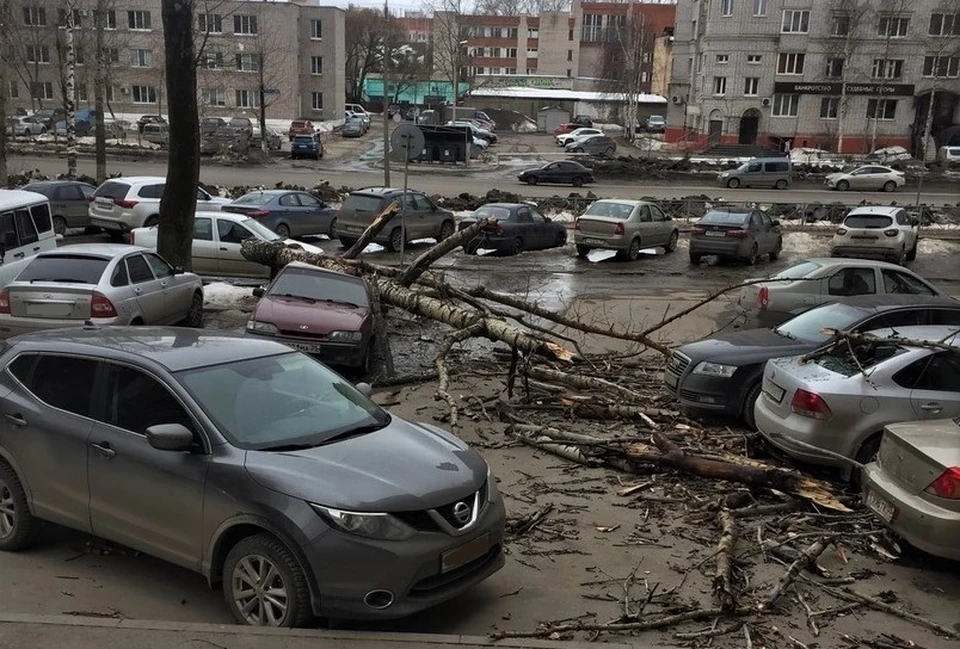 Фото: группа «Подскажите Вологда Взаимопомощь» в ВКонтакте