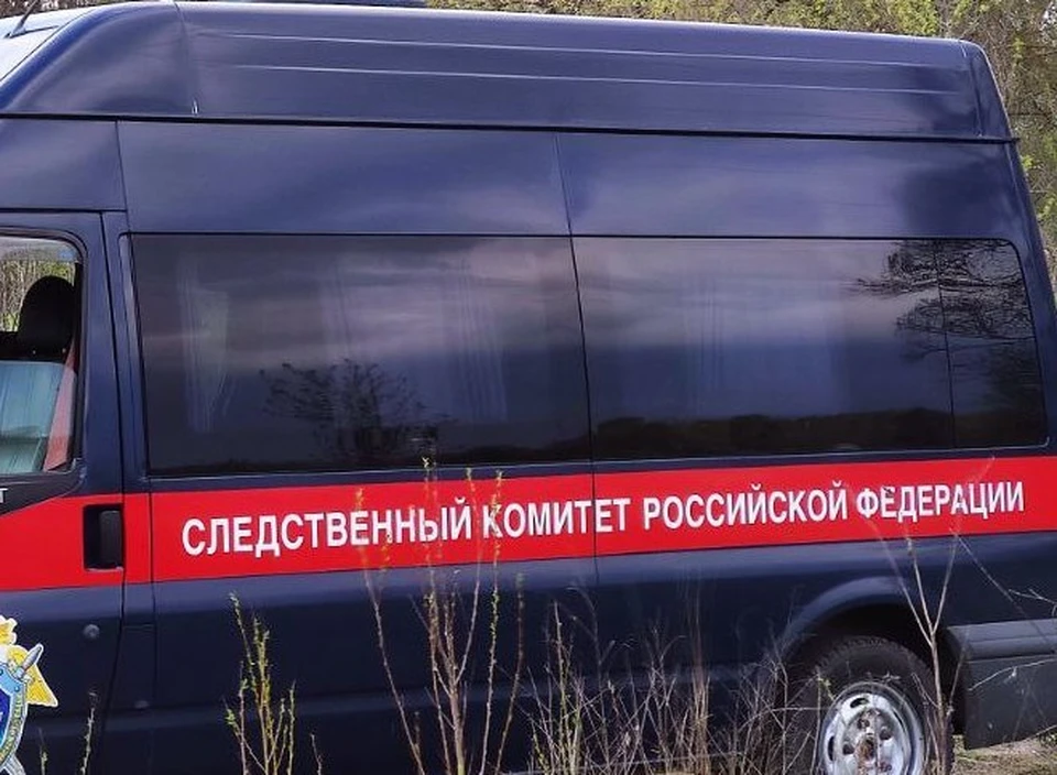 По делу проводятся следственные действия, устанавливаются все обстоятельства совершенного преступления