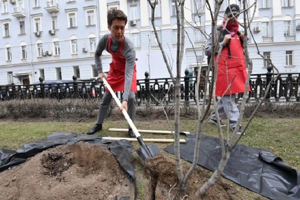 Картинка субботник на кладбище