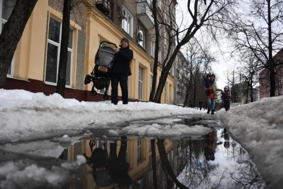 В первые апрельские дни в Кузбассе будет тепло и сыро