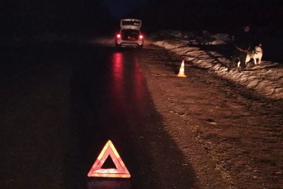 Пострадавшая шла по обочине навстречу автомобилю. Фото: vk.com/gibdd43