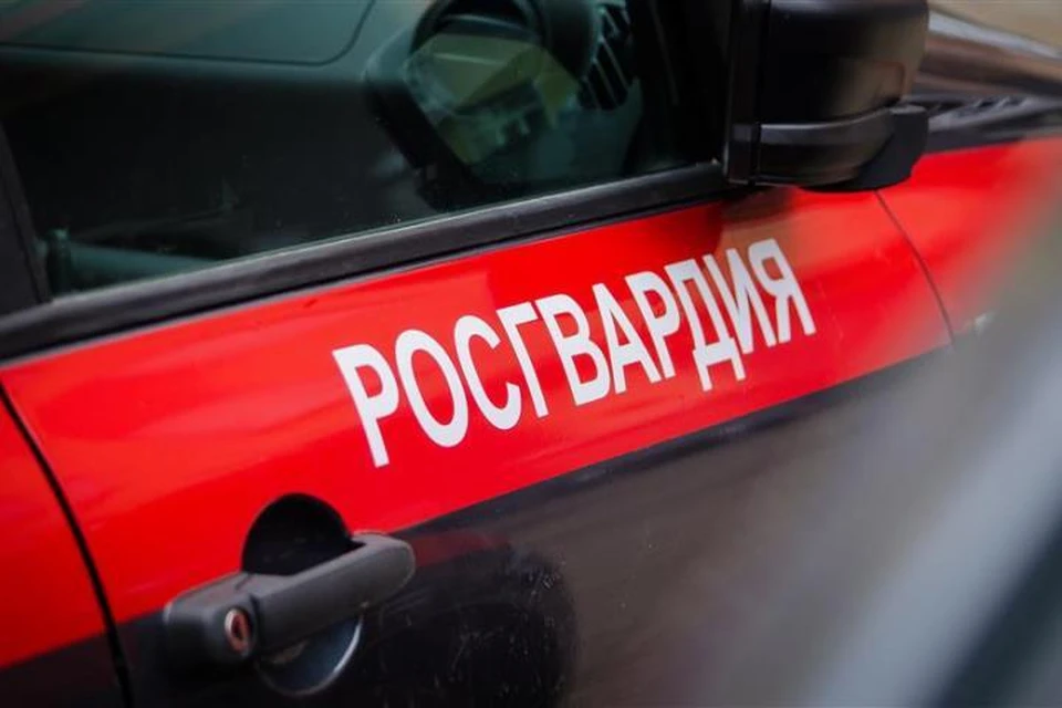 В Брянске сотрудники Росгвардии поймали вора в сетевом магазине на улице Красный Маяк. Фото: пресс-служба Управления Росгвардии по Брянской области.