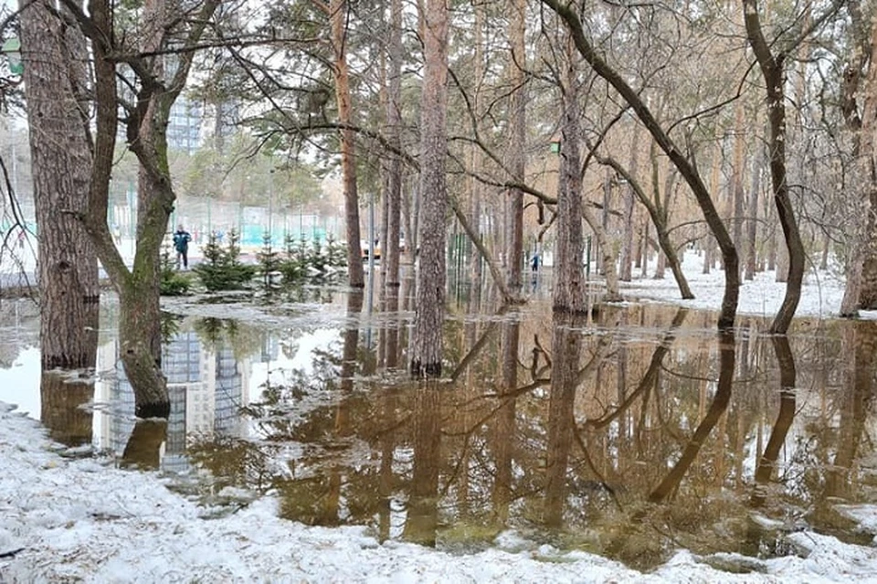 Парк зеленая роща Екатеринбург. Парк затопило. Парк затапливаемый водой. Лесопарк затоплен.