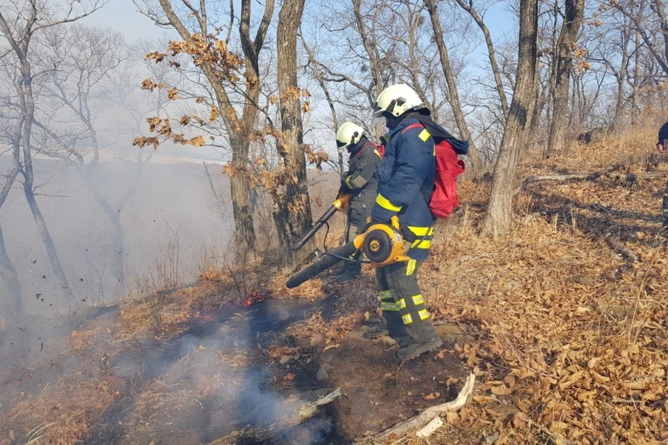 Во Владивостоке ввели особый противопожарный режим
