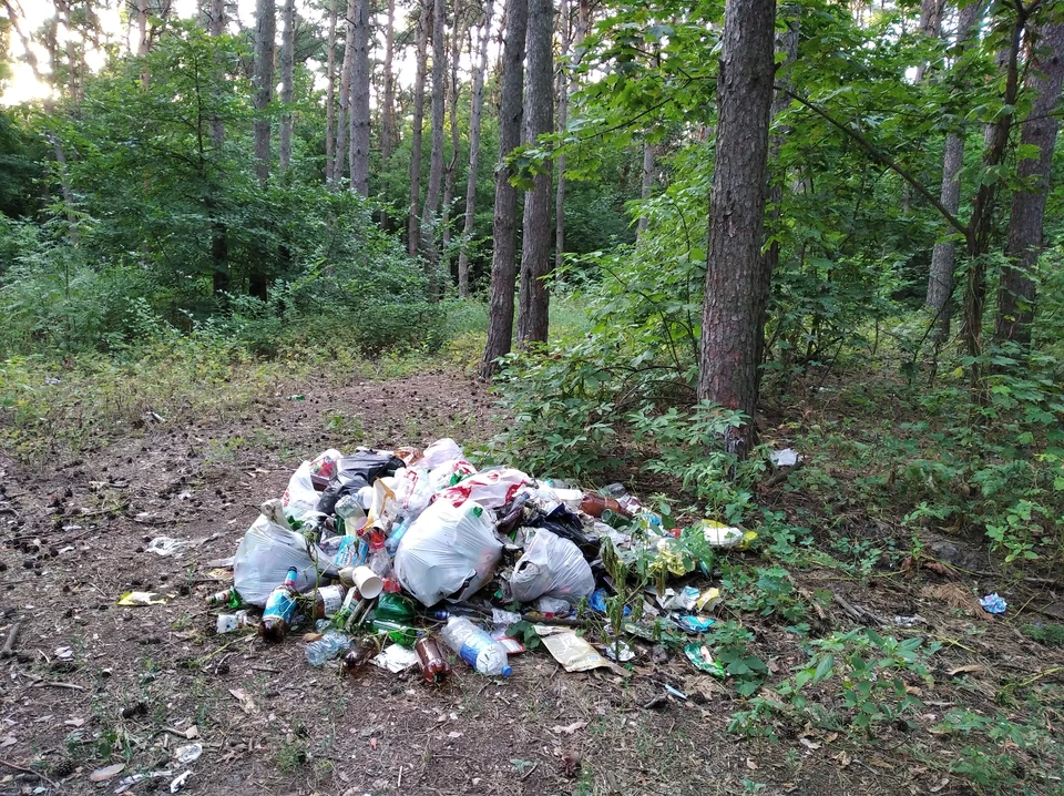 В городе еще много неубранного мусора