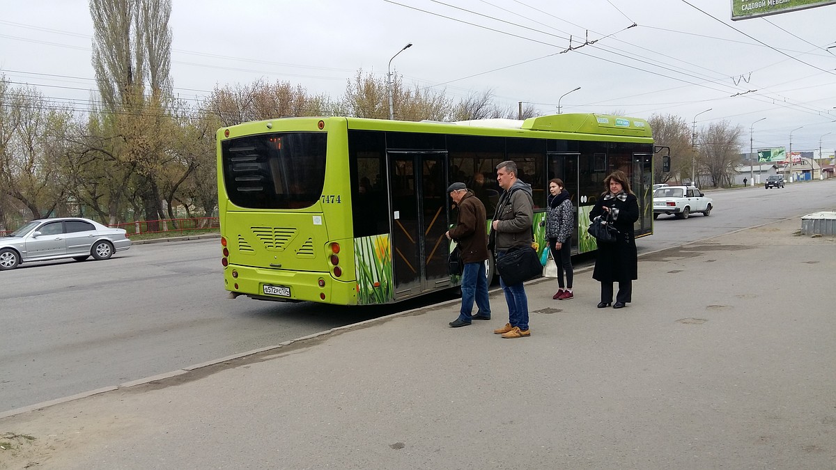 Дачные автобусы Волгограда и области 2021: расписание пригородных маршрутов  - KP.RU