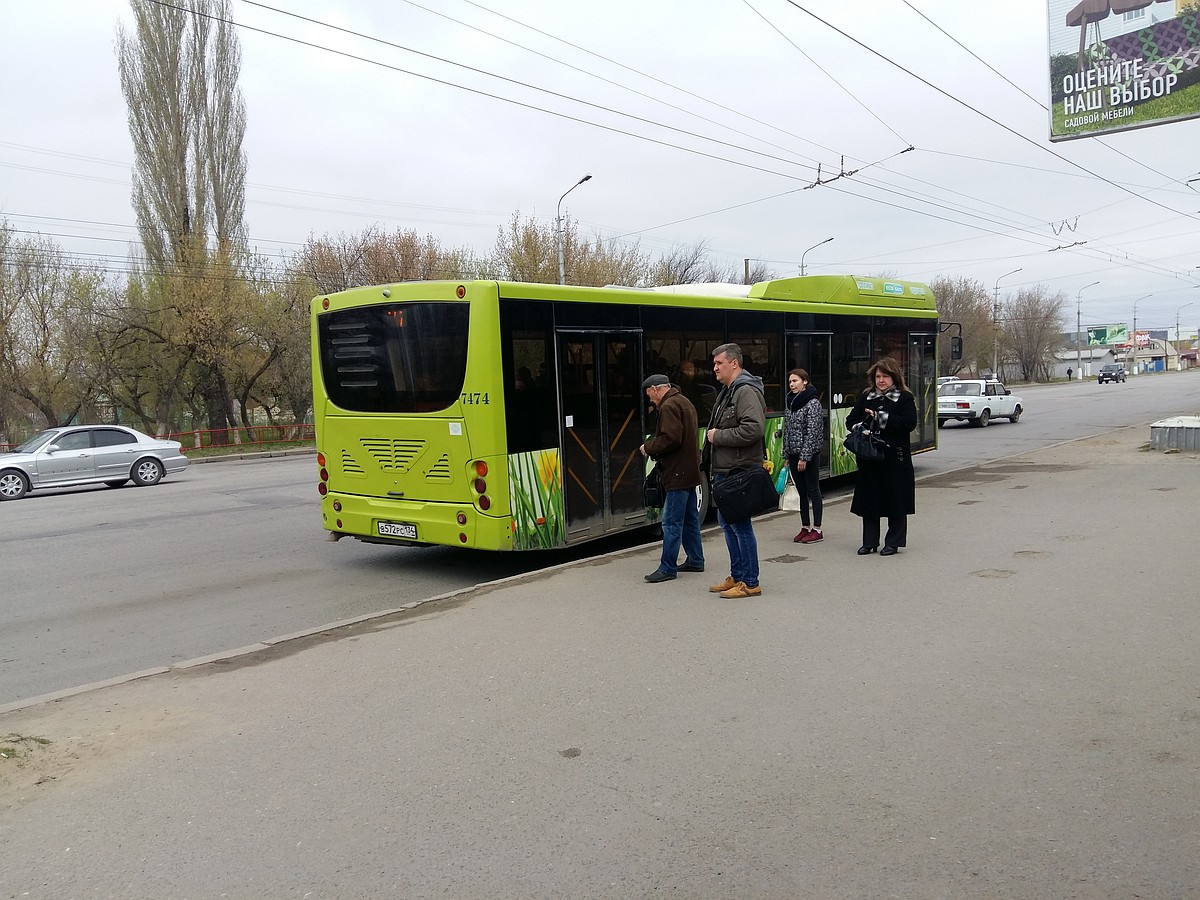 Дачные автобусы Волгограда и области 2021: расписание пригородных маршрутов  - KP.RU