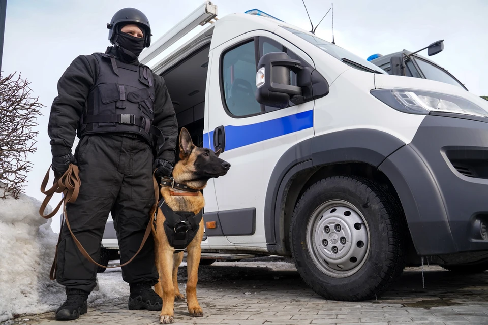 Официальной информации пока что нет