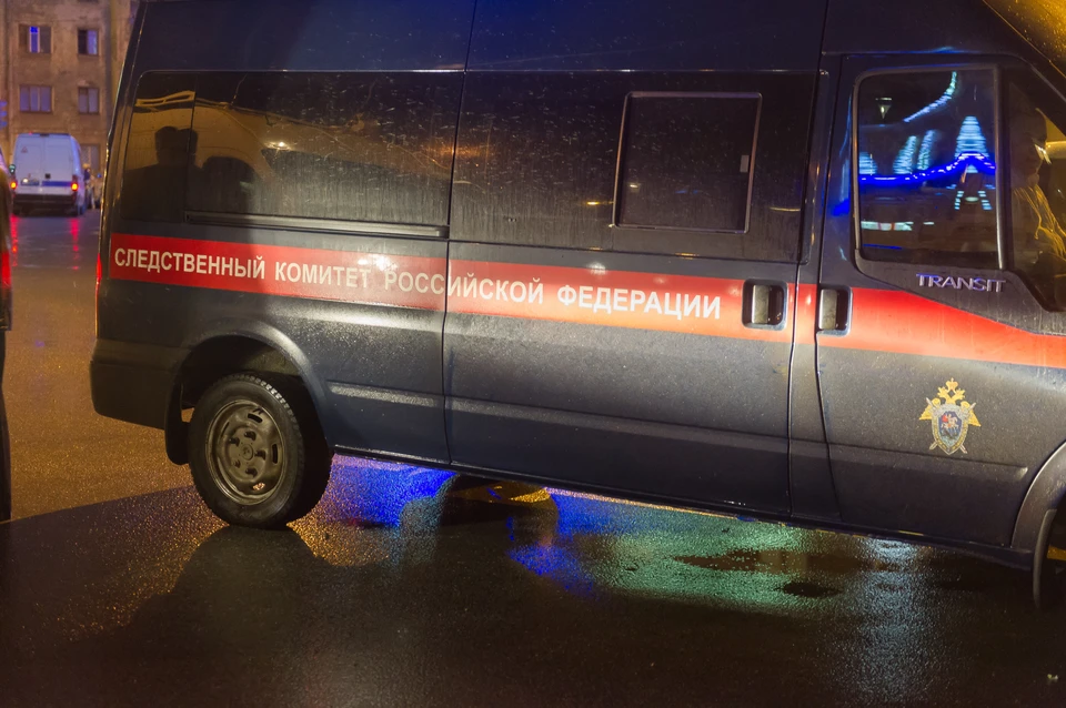 В Ленобласти нашли останки людей, погибших во время Великой Отечественной войны