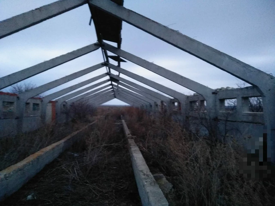 В заброшенном коровнике нашли тело мужчины
