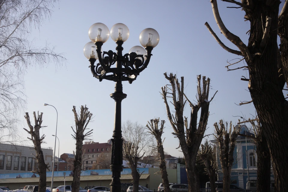 По их словам, это варварство по отношению к природе