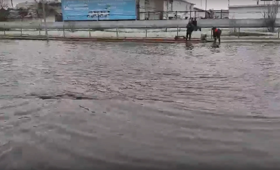 Фото: скриншот из видео