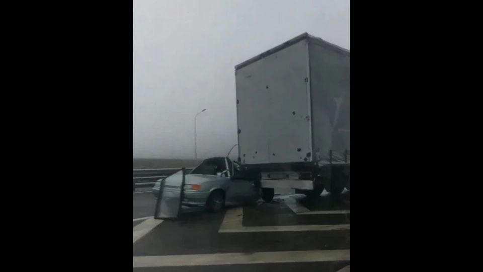Фото: Скриншот из видео