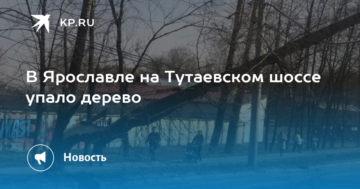 Магазин обоев в ярославле на тутаевском шоссе