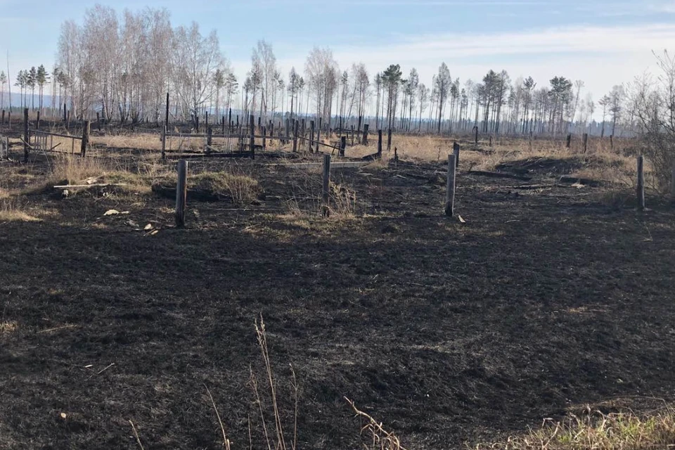 Первый лесной пожар в 2021 году потушили в Иркутской области. Фото: пресс-служба правительства Иркутской области.