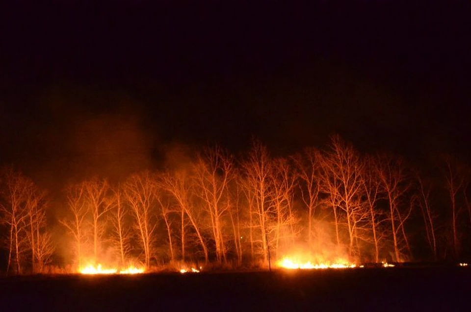 Травяные палы во многих случаях становятся причиной более серьезных пожаров
