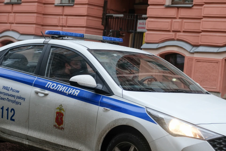 Полицейские нашли в Ленобласти интим-притон по объявлению в интернете
