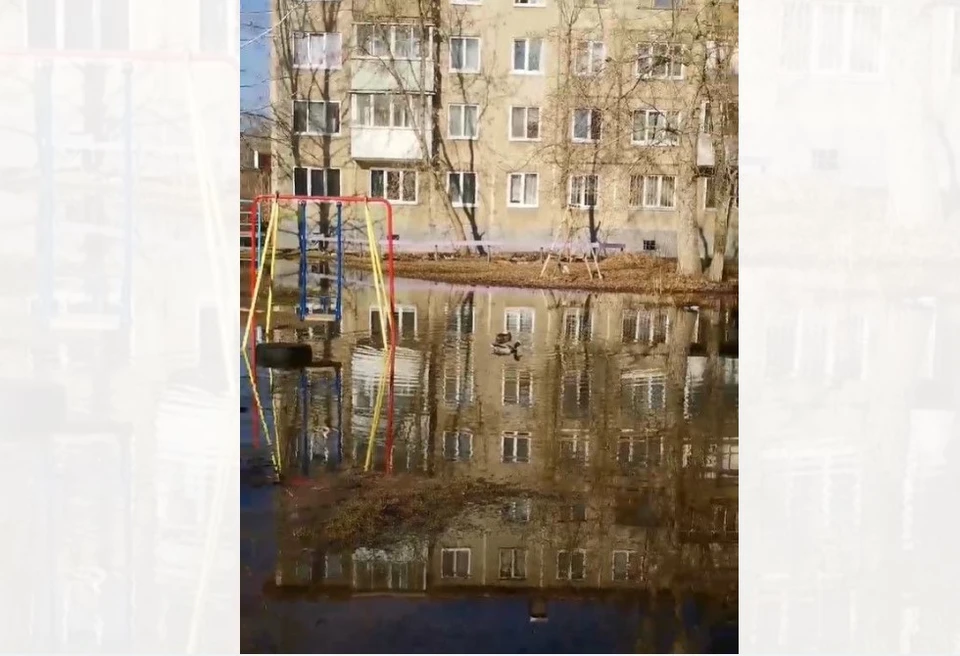 Фото: Ольга Хорева