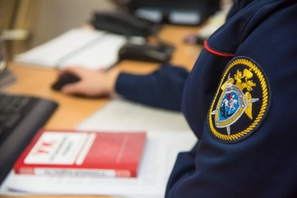 На ребенка напала собака и сбила машина в Хабаровске