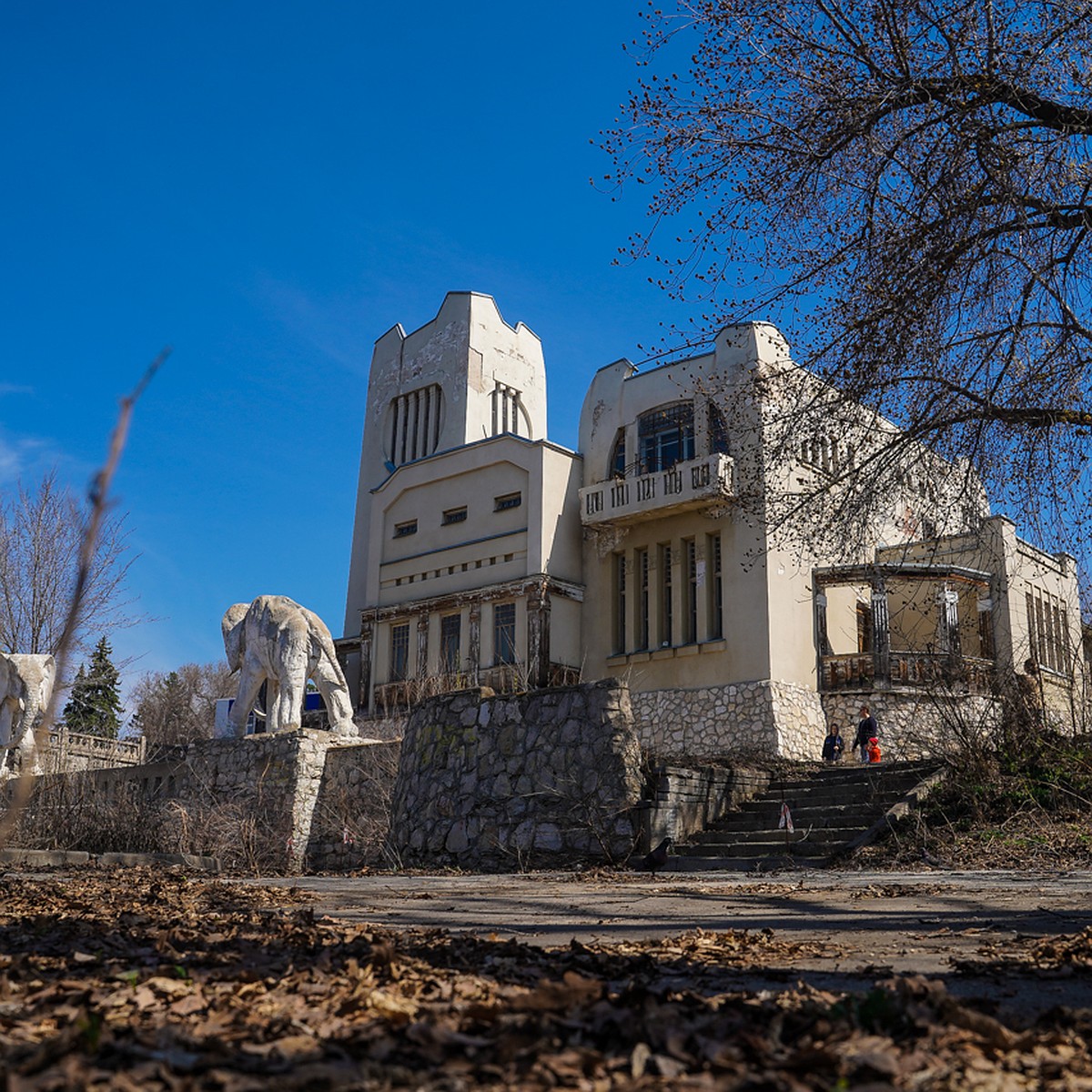 Дом со слонами в самаре фото