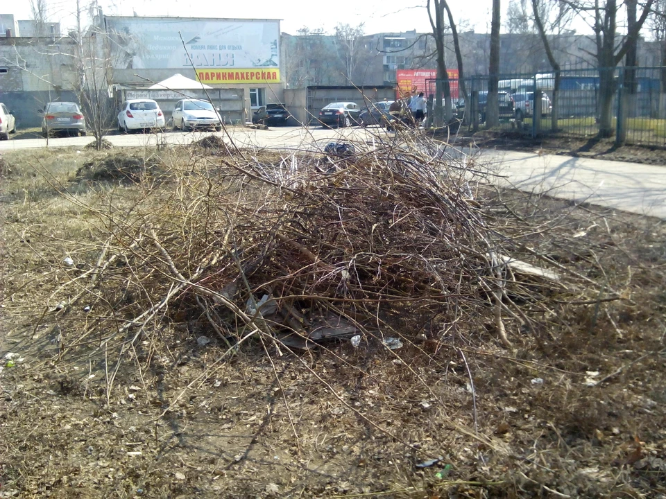 Жечь сухостой в регионе запрещено