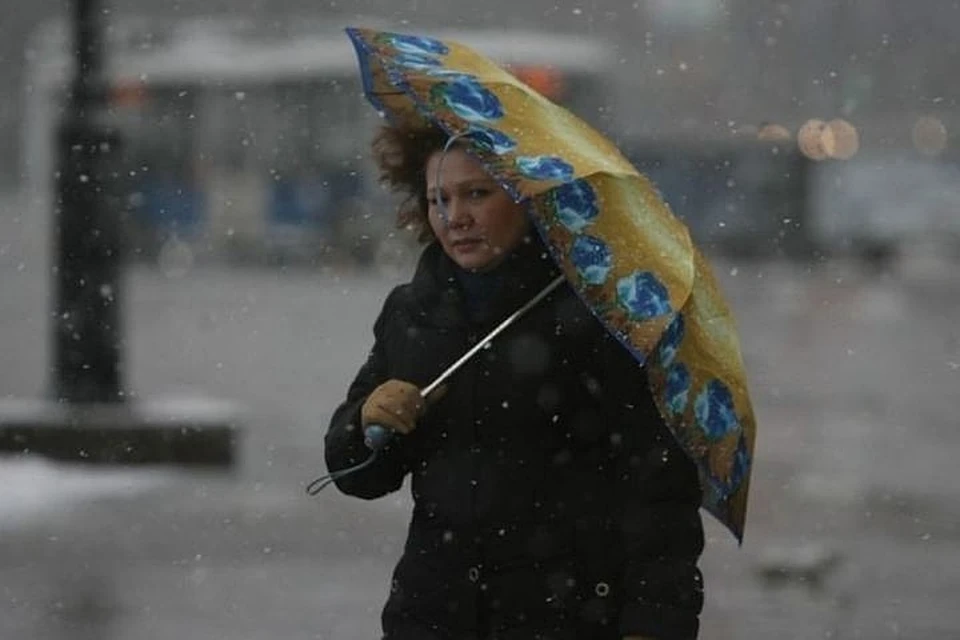 Москвичей предупредили о дожде и сильном ветре