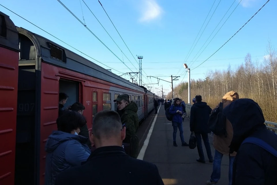 Электрички опаздывают на Приозерском направлении. Фото: vk.com/spb_today