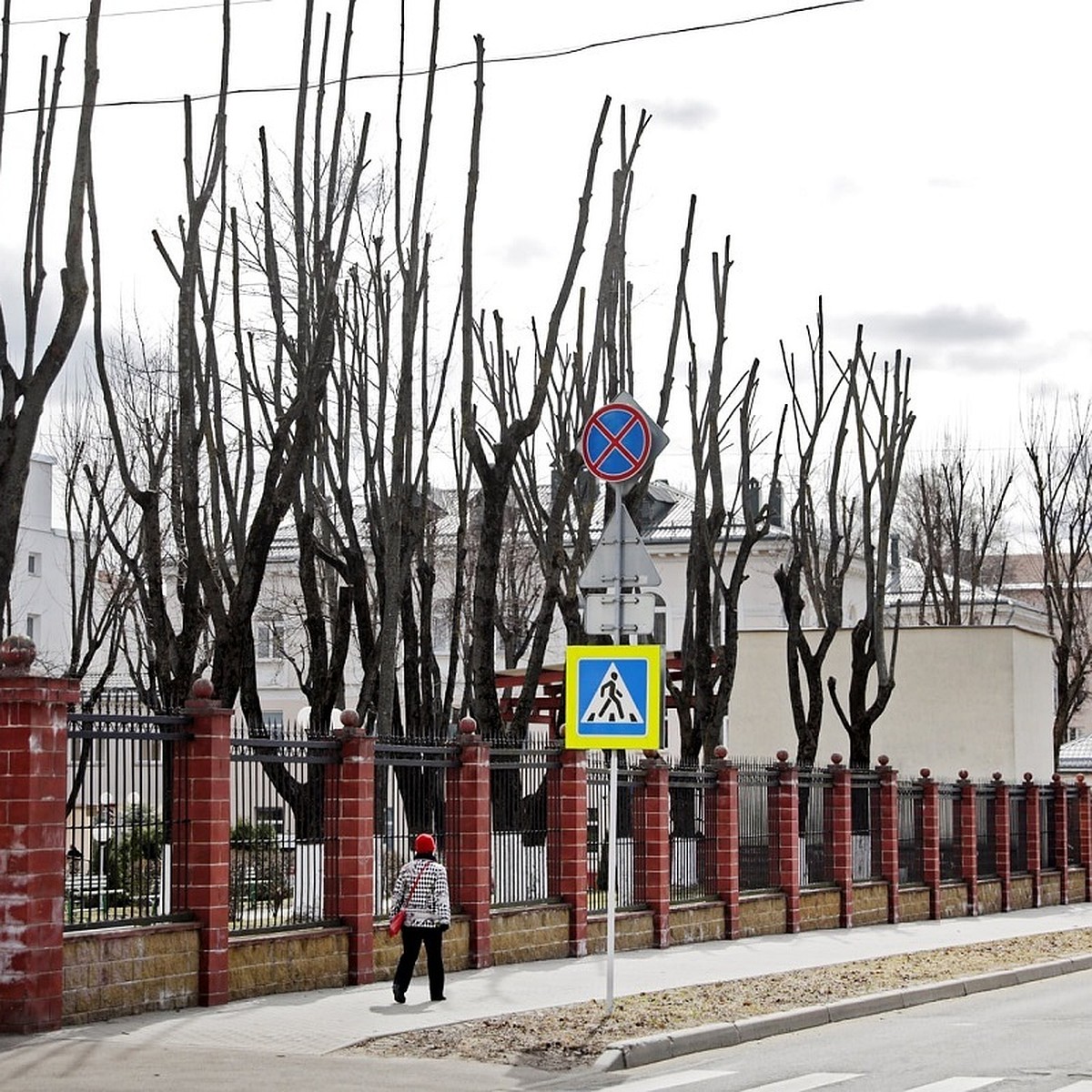 Как наказать тех, кто обрезает деревья «под столб» и какие дворы самые  проблемные: спросили у 