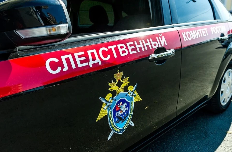 Уголовное дело возбудили по статье "Убийство".